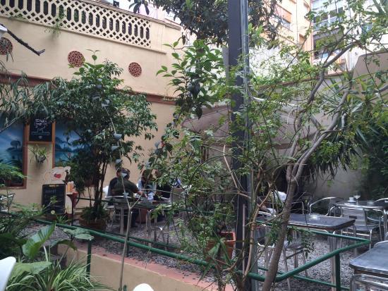 Bar Jardín